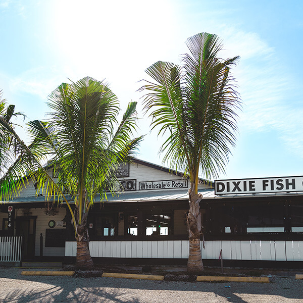 Dixie Fish Company Ft. Myers Beach
